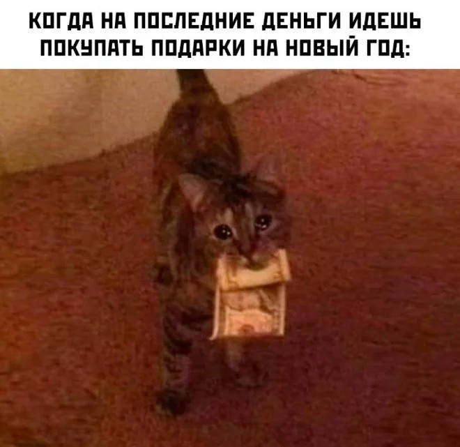 Супер свежие скрины из соцсетей