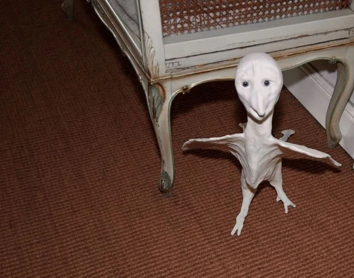 «100 зубов и другие ужасы»: жуткий ассортимент интернет-магазинов