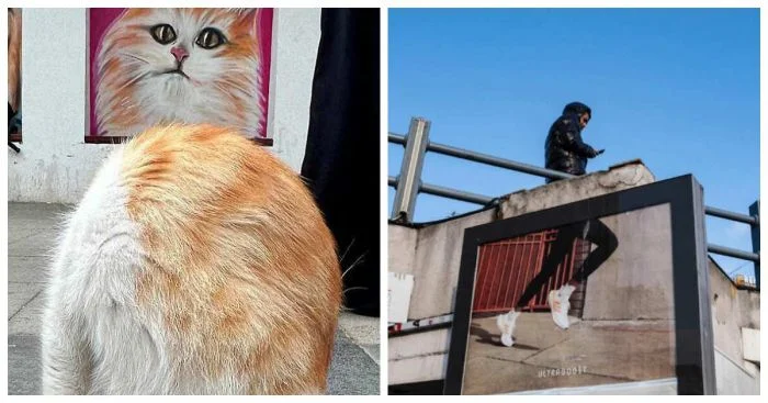 Удивительные уличные кадры: 15 фотографий в нужный момент