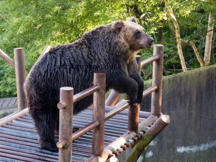 Фото для настроения