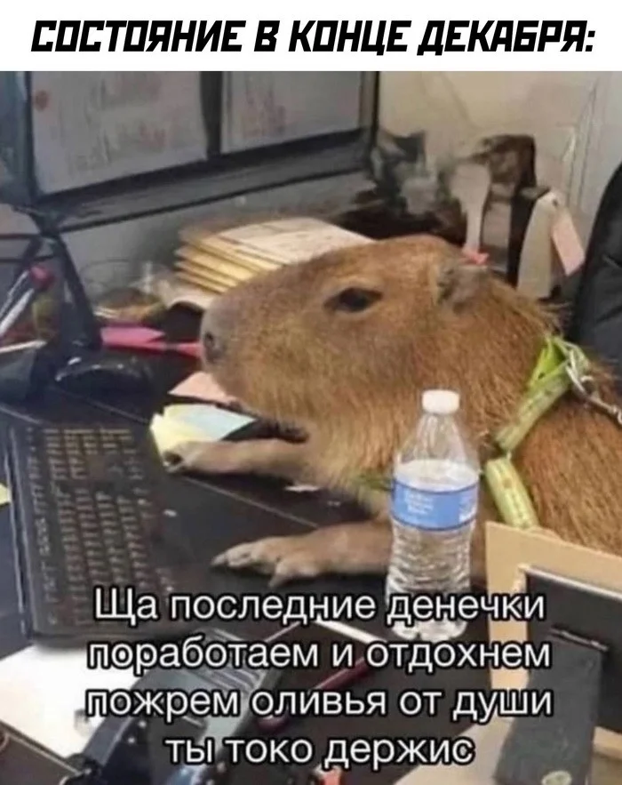 Новые скрины из соцсетей