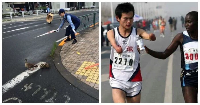 Доброта вокруг нас: 17 изображений, которые это доказывают