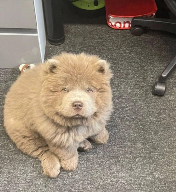 Свежее на общую тему