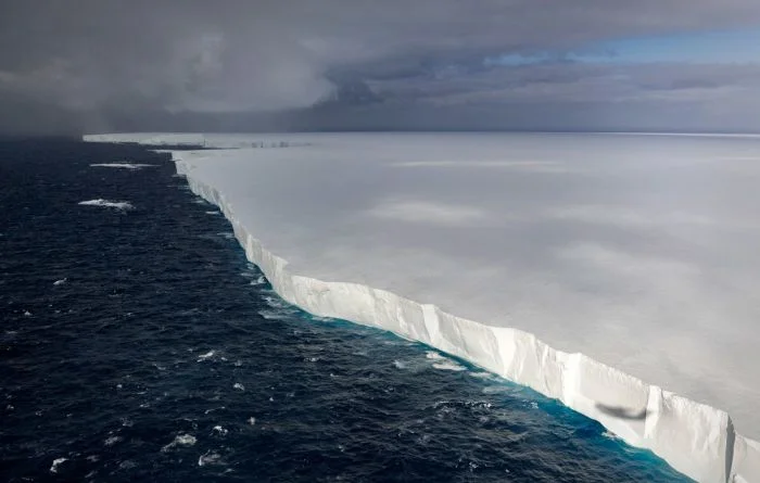 Январь в фотографиях: хроника месяца