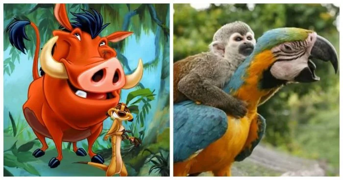 Как в мультике: 17 реальных кадров, повторяющих известные сцены