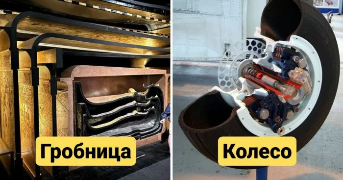 Как это выглядит изнутри: 14 удивительных фотографий знакомых объектов