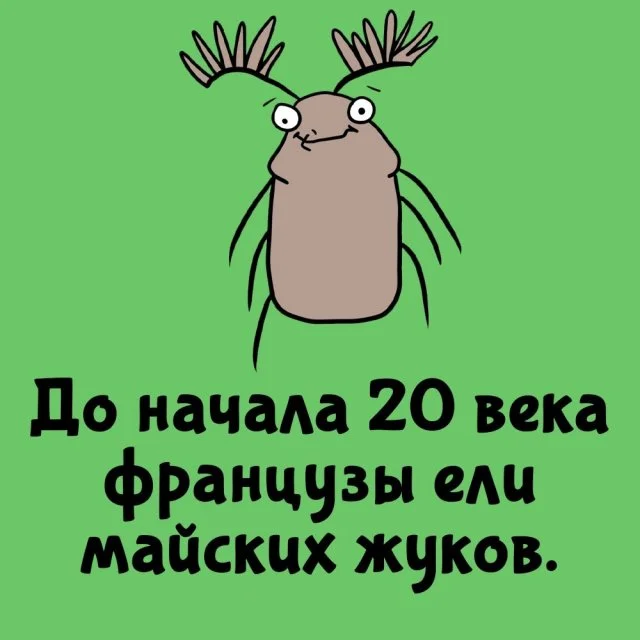 Удивительные факты