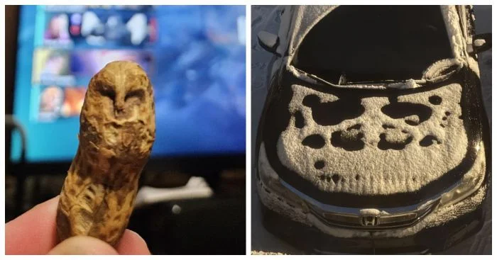 Картинки, от которых становится не по себе