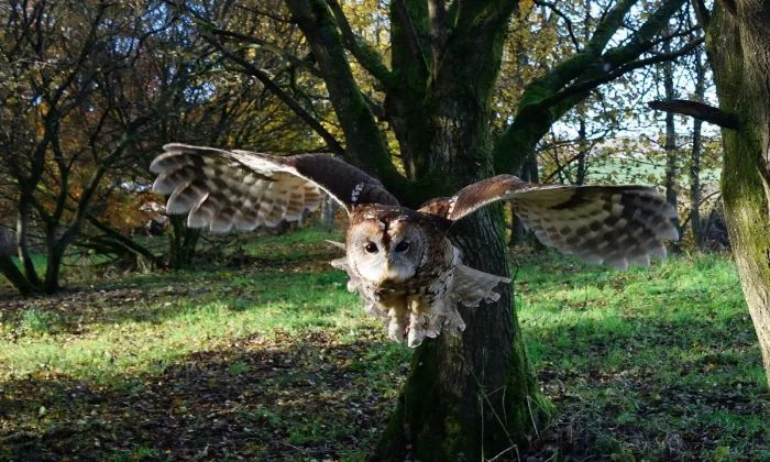 Свежее на общую тему