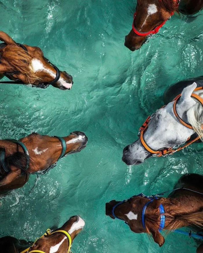 Подъехало всё вразнобой