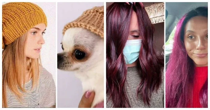 Ожидание vs реальность: 20 весёлых примеров в фотографиях