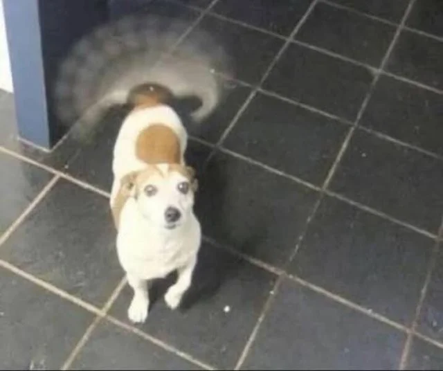 Снова намешалось