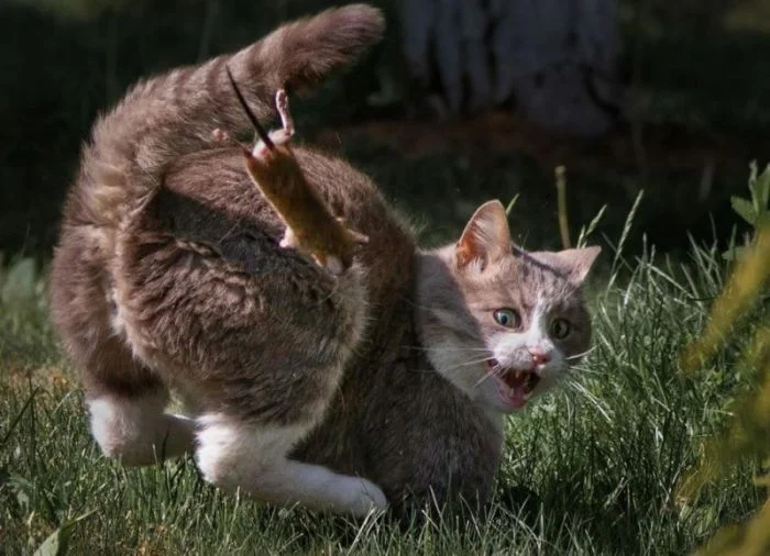 Подъехало всё вразнобой