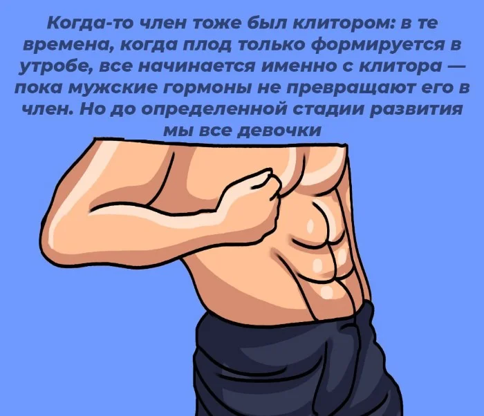 Сексуальная правда: 10 фактов, которым не научат в школе #83