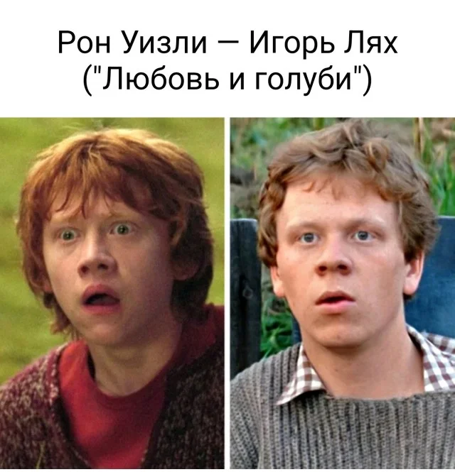 Тайна раскрыта! Откуда на самом деле взялись образы героев «Гарри Поттера»?