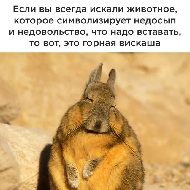 Актуалочка подъехала