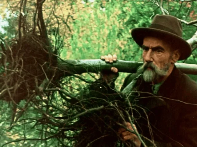 Металл против природы: почему Мичурин вколачивал гвозди в стволы?