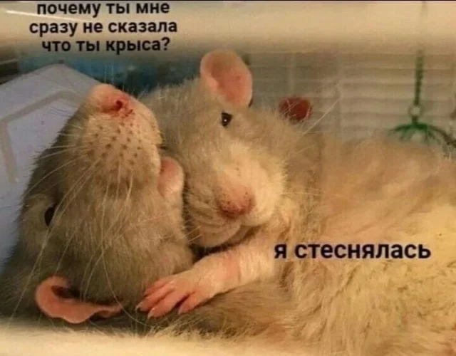 Актуальные прикольные картинки