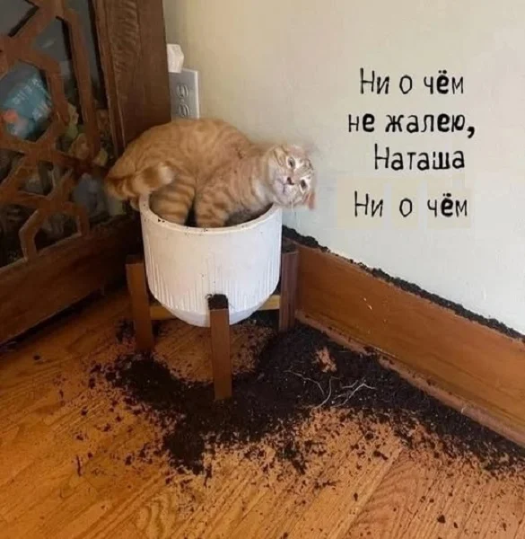 Картинки разные и прекрасные