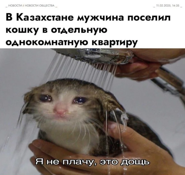 Ох как же свежок! Приколы!