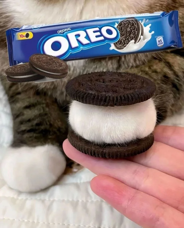 Новые прикольные картинки