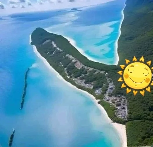 Новые прикольные картинки