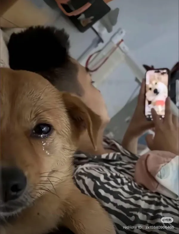 Фото Рулетка