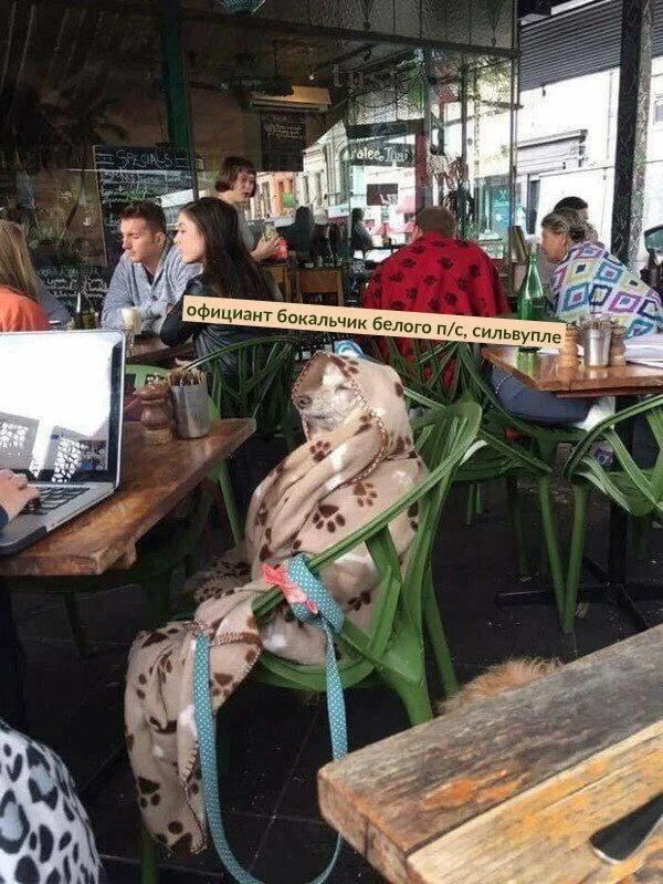 Ну куда свежей? Приколы!