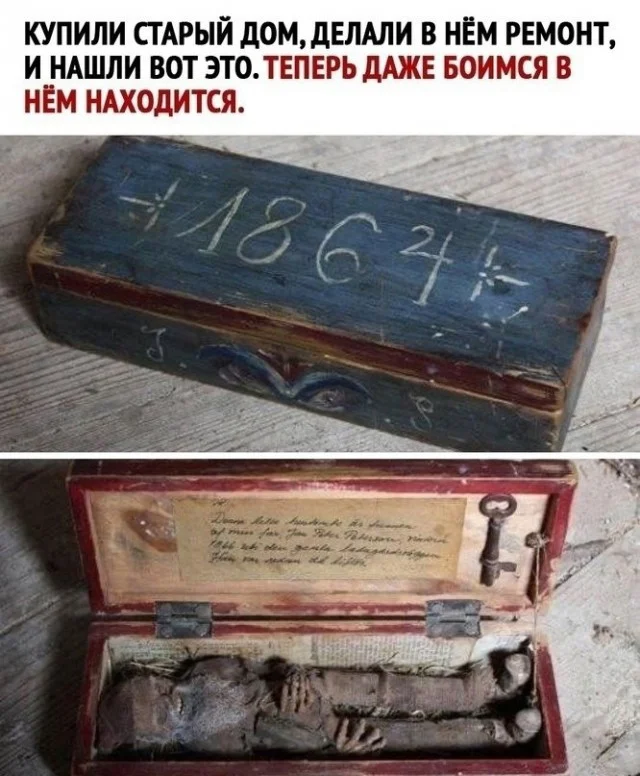 Ну куда свежей? Приколы!