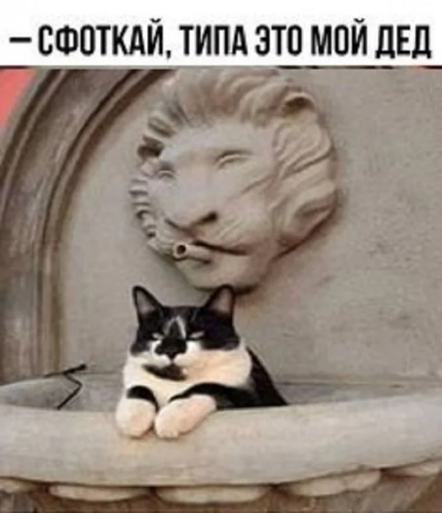 Свежо и смешно!