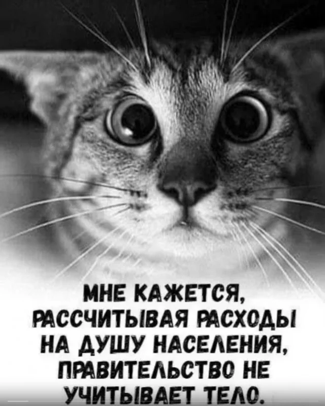 Кото-баяны