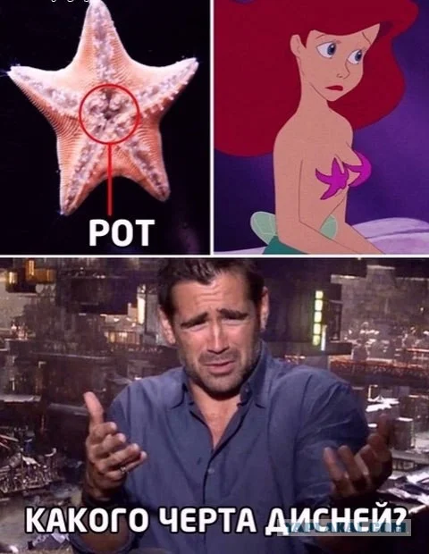 Сборная солянка