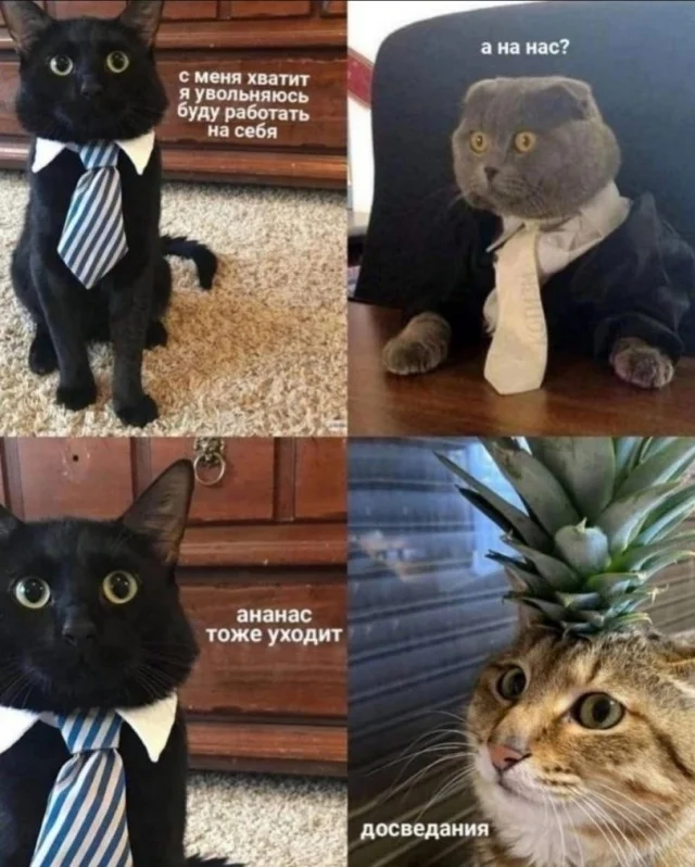 Смешная деградация!