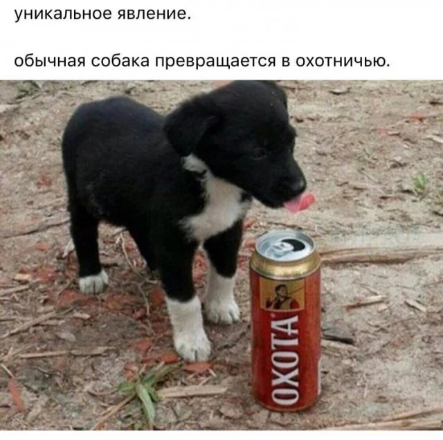 Смешная деградация!