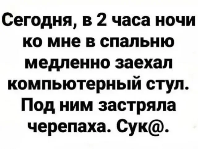 Веселые и немного смешные картинки