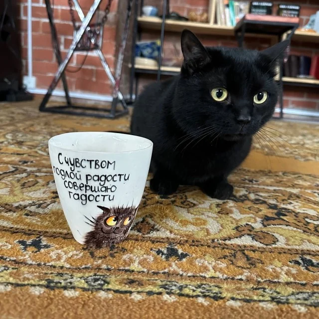 Веселые и немного смешные картинки