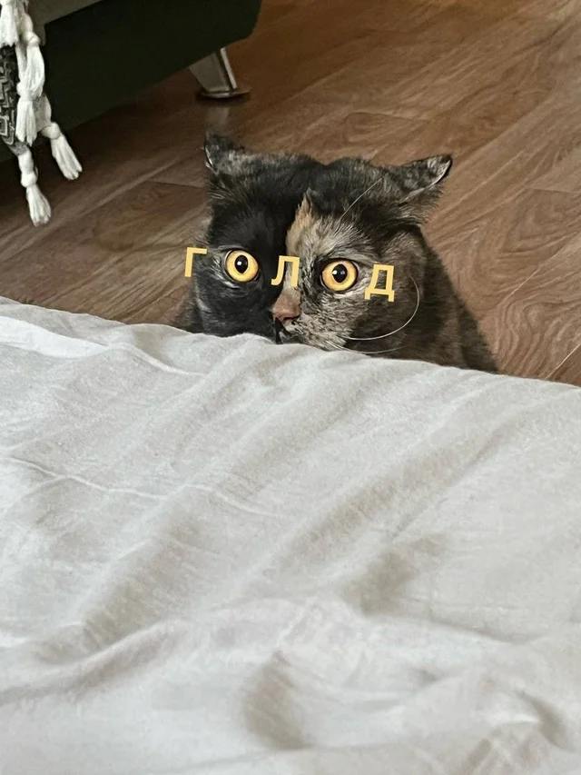 Весело и смешно