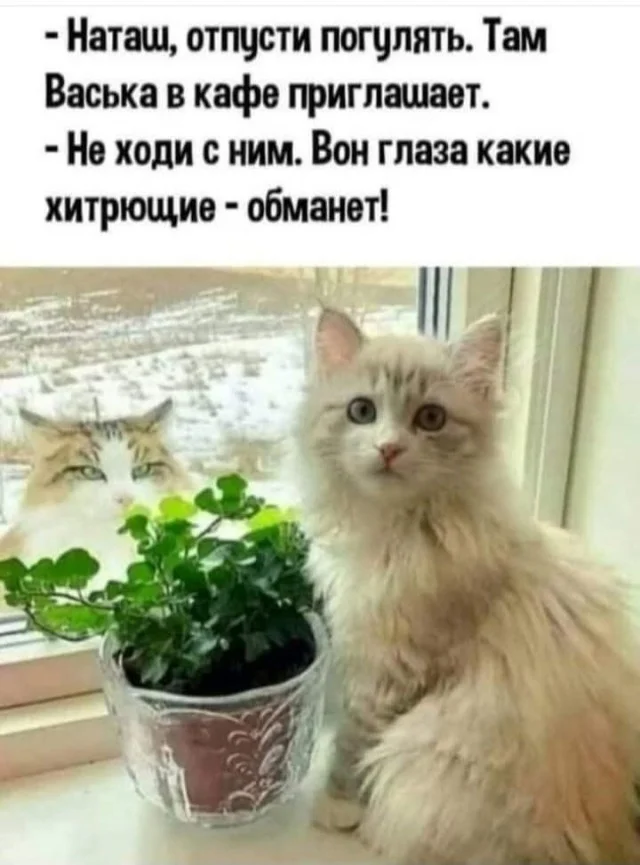 Немного по юмору?