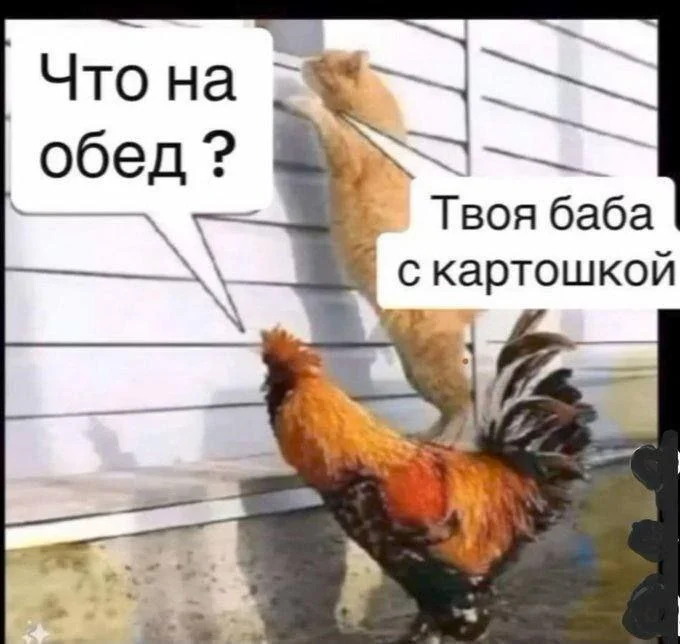 Нестандартный юмор #286