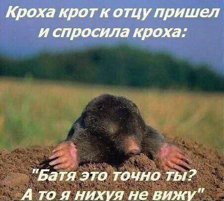 Нестандартный юмор #291