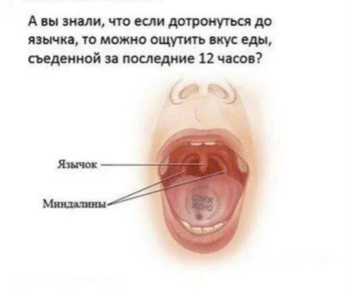 Нестандартный юмор #295