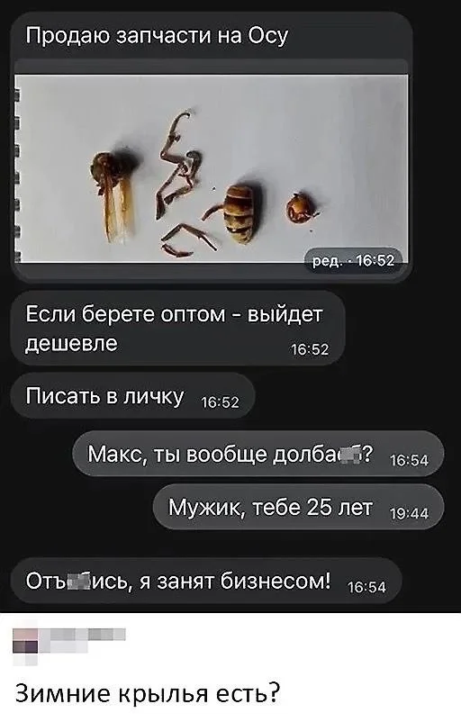 Нестандартный юмор #310