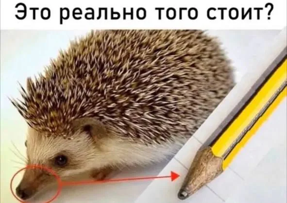 Нестандартный юмор #313