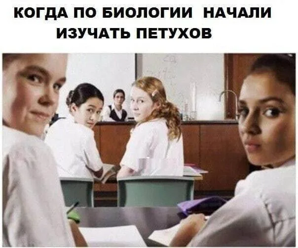 Нестандартный юмор #315