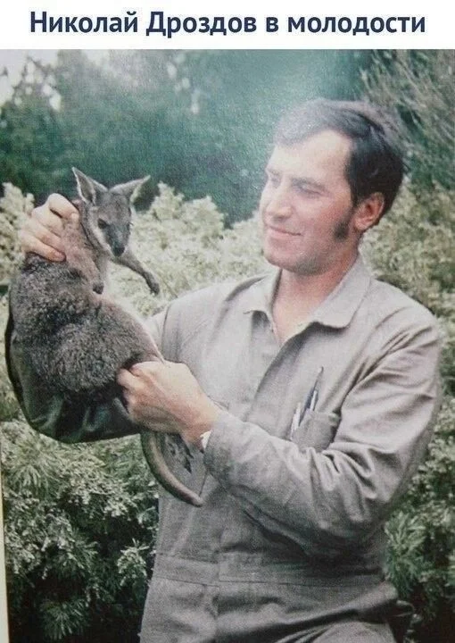 10 мудрых советов от Николая Дроздова, которые помогут в жизни