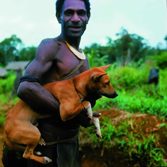 Кого нельзя заводить первым питомцем? Самые сложные породы собак