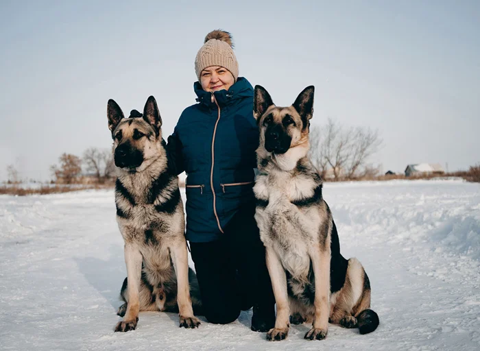 Красные чемпионы: какие собаки в СССР выводились в противовес Западу?