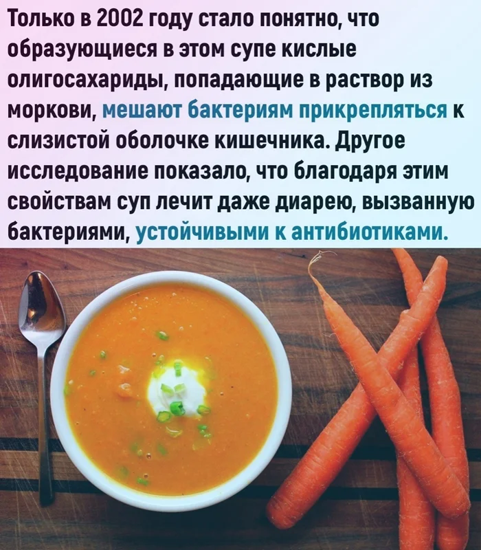 Как обычный морковный суп помог Эрнсту Моро спасти жизни тысяч детей