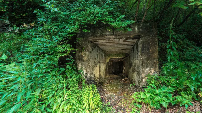 Тайна под завалами: что скрывали советские шахтёры за забутовкой?