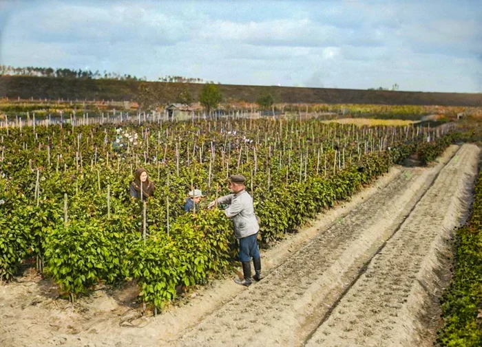 Москва 1920-х: 20 раскрашенных снимков из жизни столицы